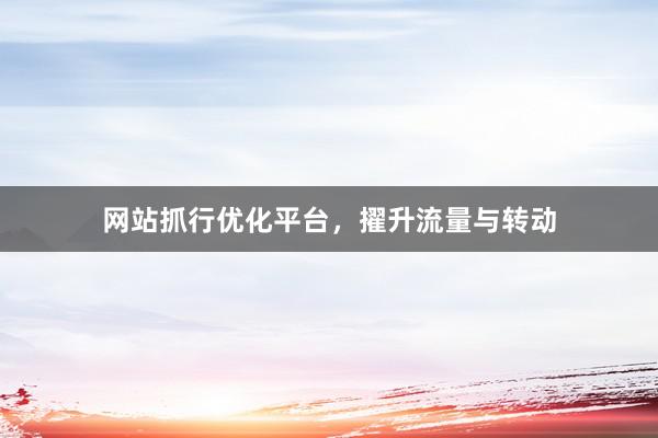 网站抓行优化平台，擢升流量与转动