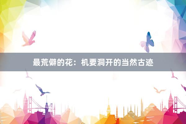 最荒僻的花：机要洞开的当然古迹