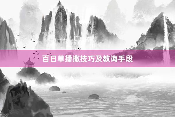 百日草播撒技巧及教诲手段